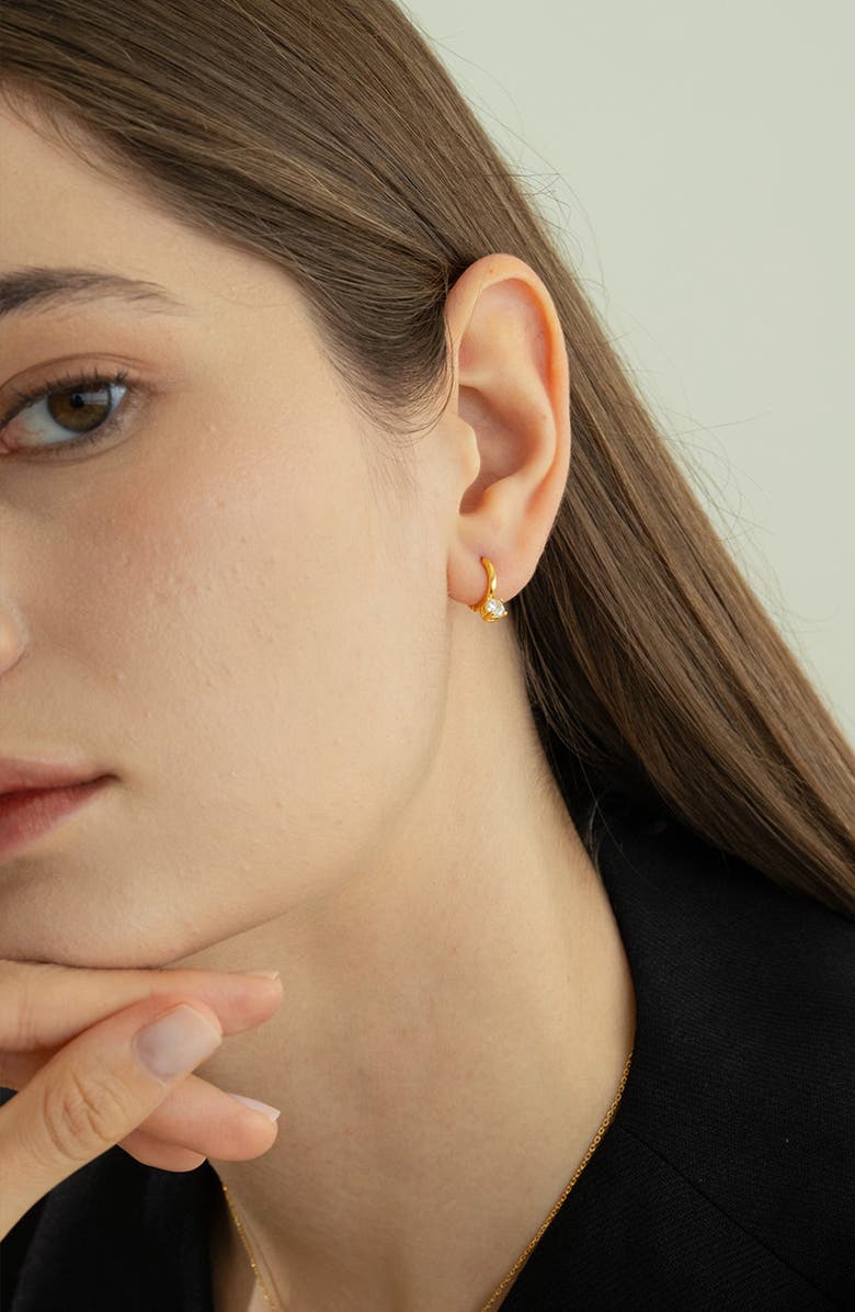 Bearfruit Jewelry Sterling Silver 18k Gold Plated Anastasia Huggies Delicate Minimal, Alternate, color, Silver