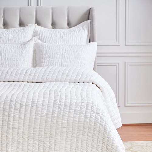 Elisabeth York 20" X 26" Elodie Dove Cotton Standard Sham In White