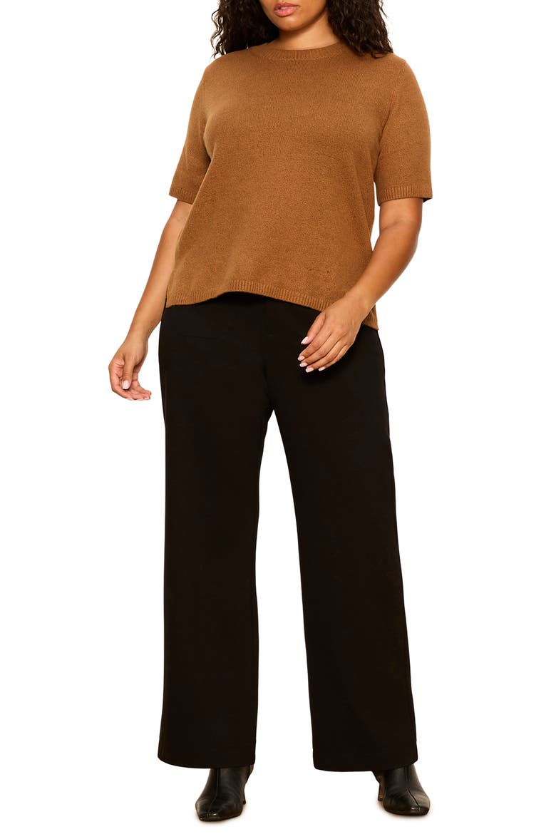 Perfect Short Sleeve Sweater, Alternate, color, COCOA POWDER BROWN