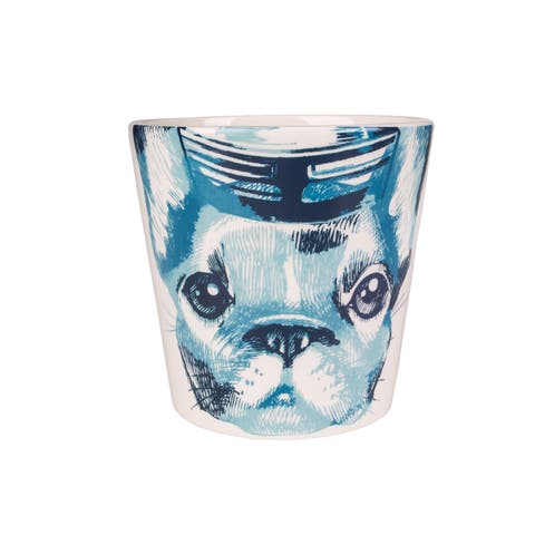 4" Ceramic Frenchie Dog Coastal Tabletop Planter Home Decor