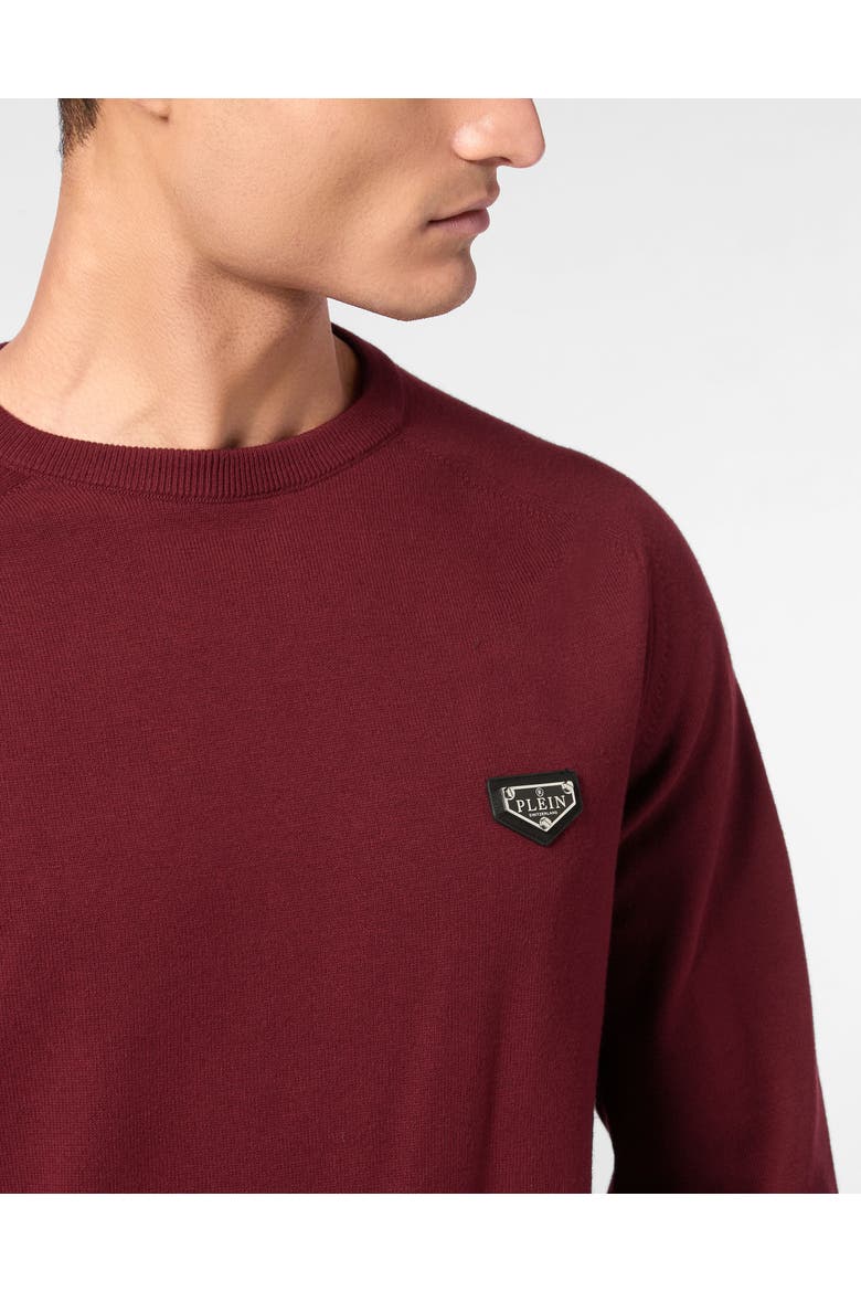 Pullover Round Neck Ls Men, Alternate, color, Bordeaux