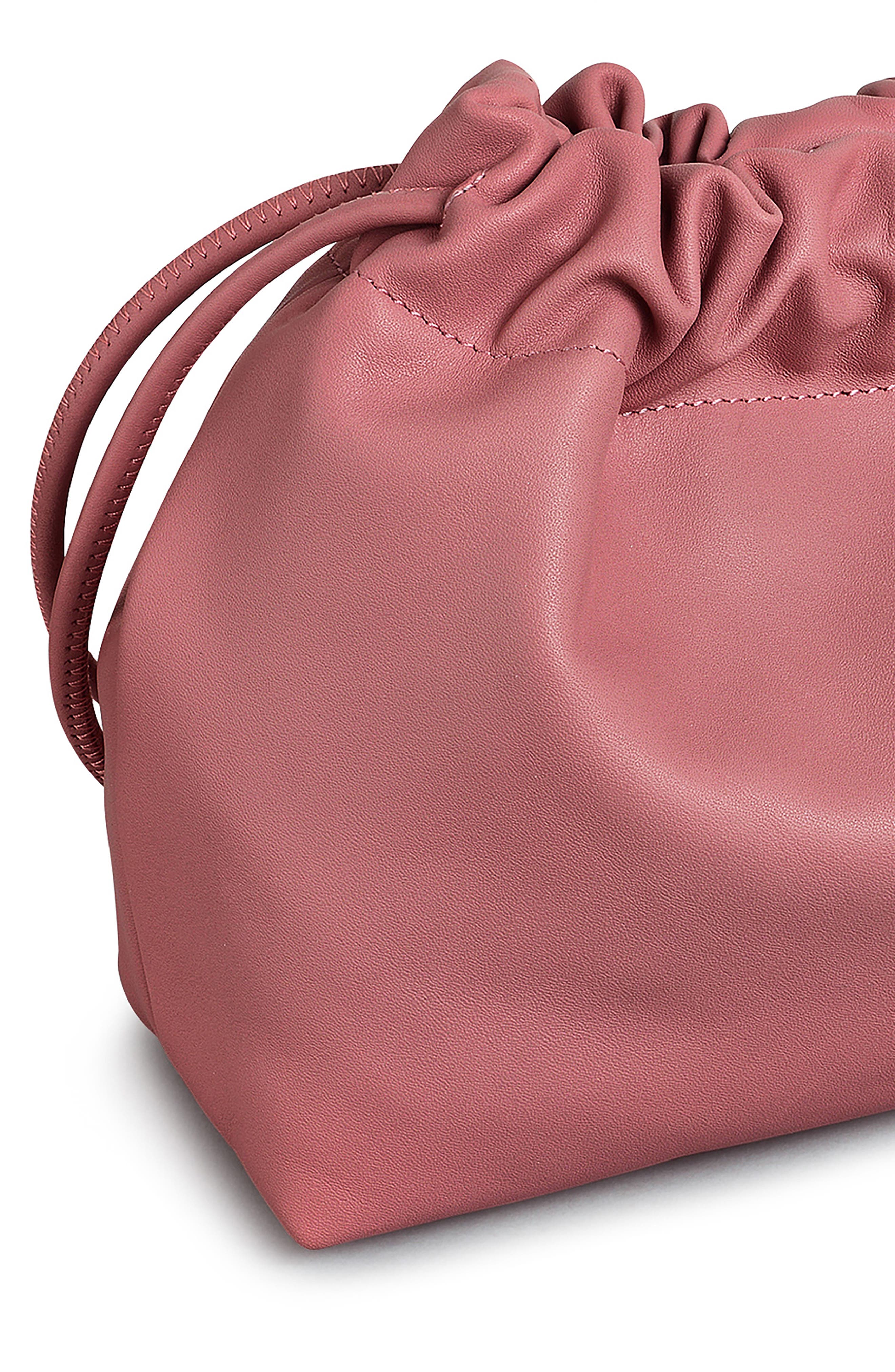 Radley Medium Blake Mews Crossbody Bag, Alternate, color, Sienna Pink