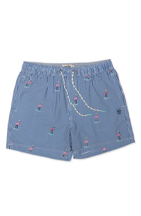 Embroidered Stripe Party Starter 5-Inch Swim Trunks