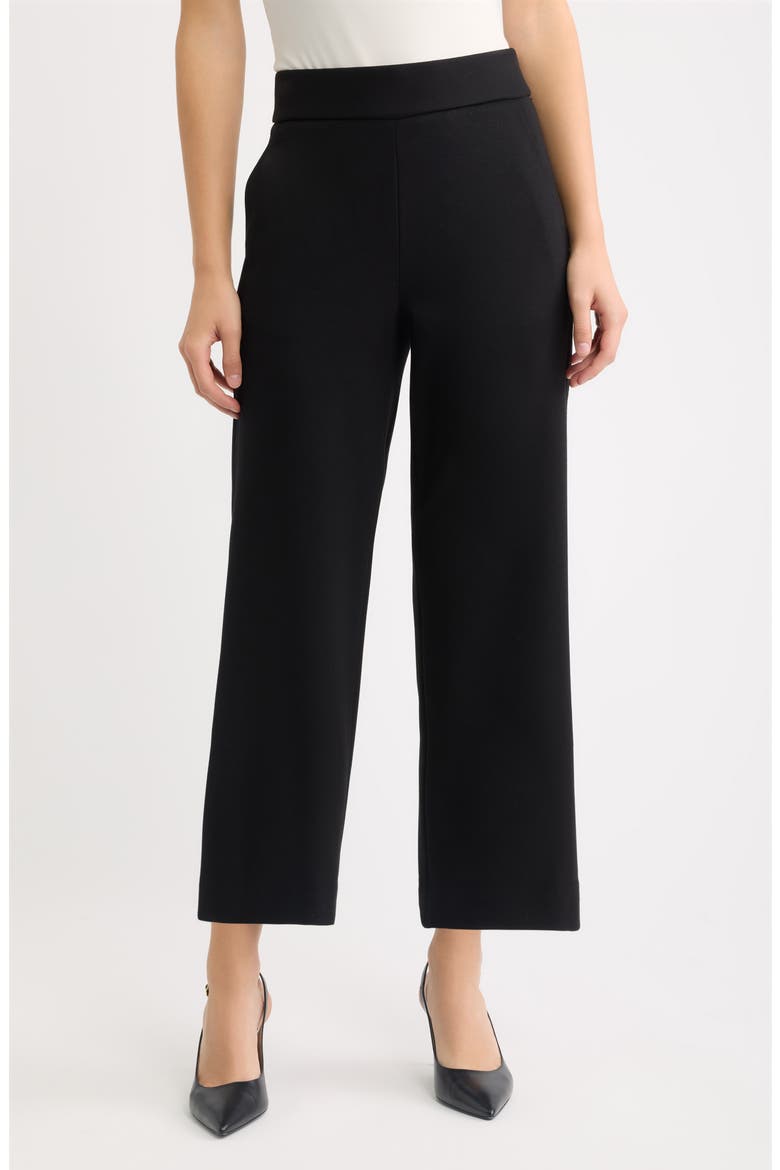 Wide Leg Cropped Pants, Main, color, ANNE BLACK