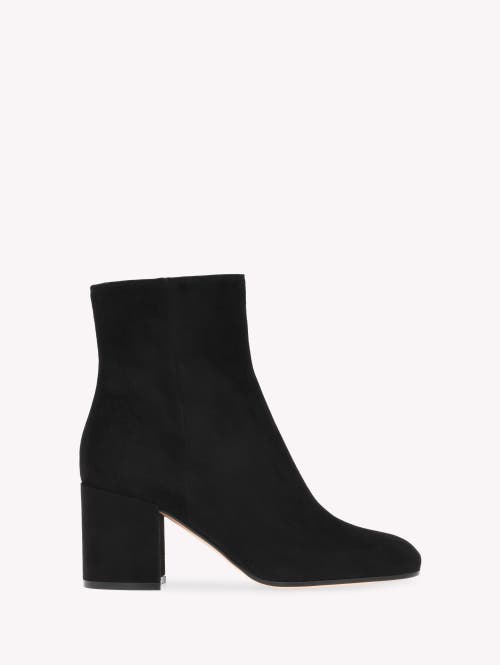 Gianvito Rossi Block Heel Ankle Boots With Suede Finish In Black