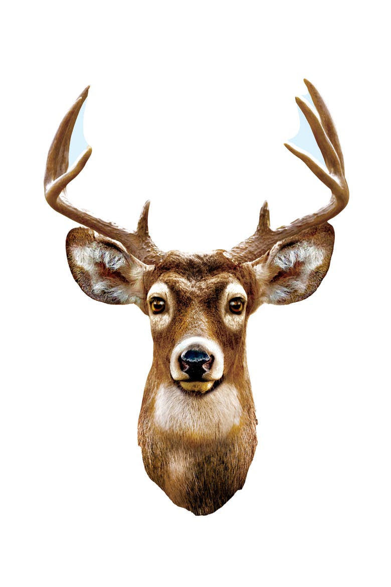 White Tail Deer 100 Piece Shaped Puzzle, Alternate, color, Multicolor