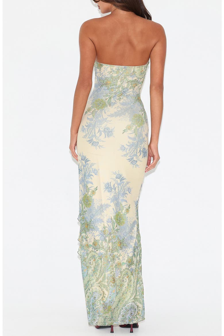 Theo Floral Strapless Mesh Maxi Dress, Alternate, color, PAISLEY TAPESTRY