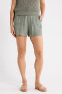 Splendid Cayden Embroidered Shorts