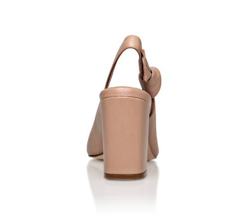 Joan Oloff Shoes Daphne Leather Slingback Pump In Brown