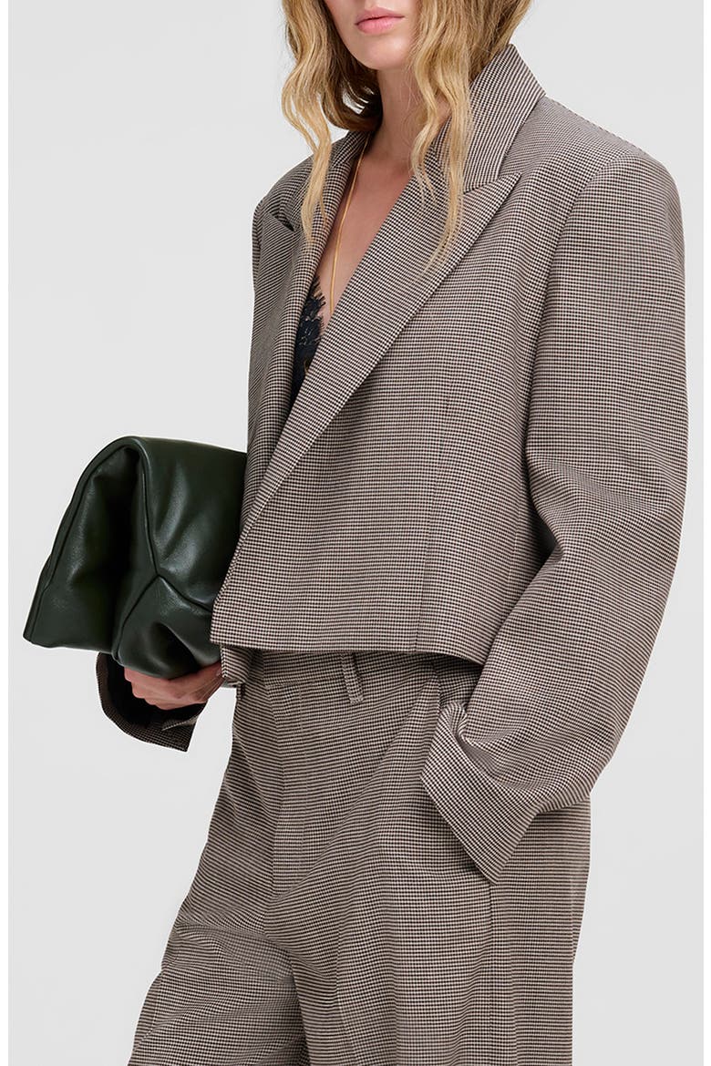 Cass Cropped Blazer, Alternate, color, DESERT SAND MULTI
