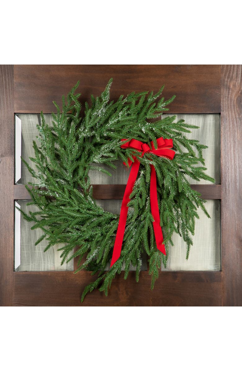 Northlight Frosted Norfolk Pine Artificial Christmas Wreath - 20" - Unlit, Alternate, color, Green