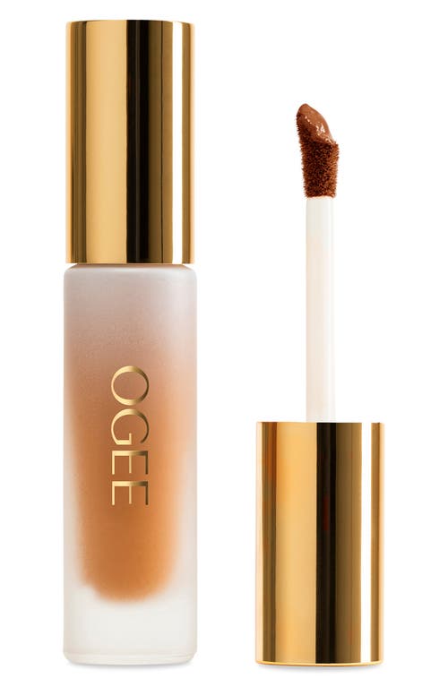 Ogee Complexion Perfecting Concealer In Brown