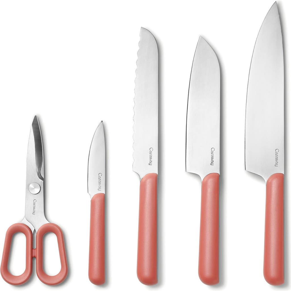Caraway 5-piece Knife Set In Perracotta