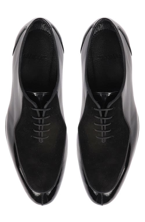 Vellapais Panola Oxford In Black