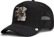 Goorin Bros. Punk Dawg Patch Snapback Trucker Hat