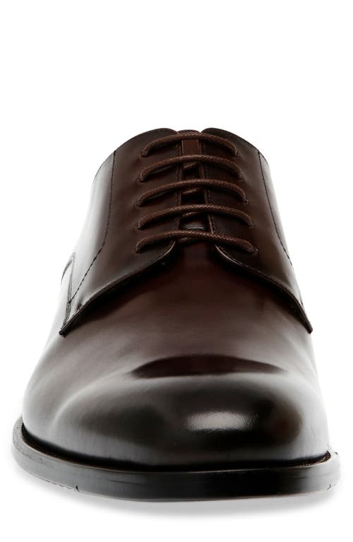 Steve Madden Daedric Derby In Brown