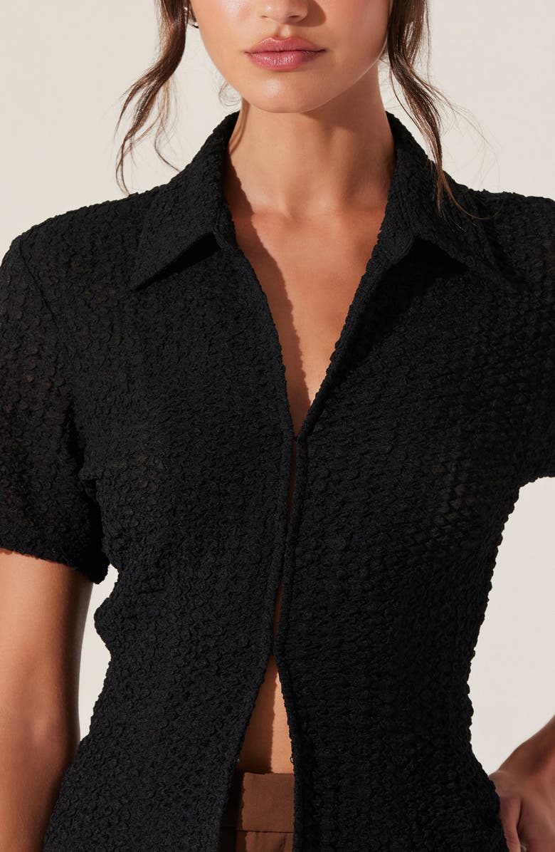 ASTR the Label Puckered Short Sleeve Top, Alternate, color, 