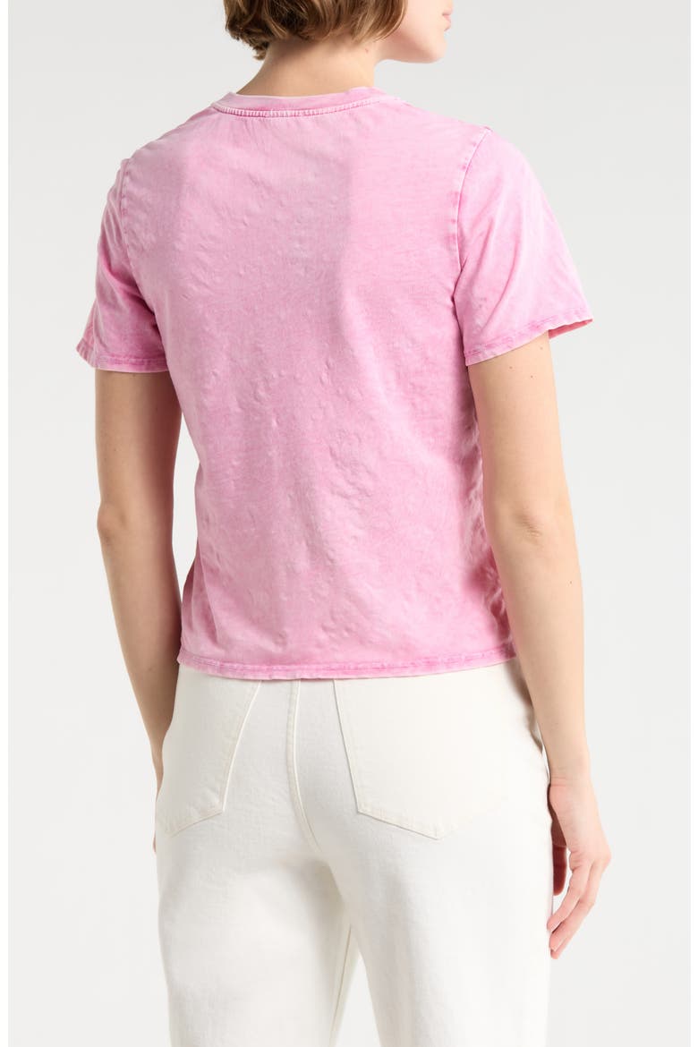 Garment Dyed Cotton Graphic Shrunken T-Shirt, Alternate, color, CARNATION