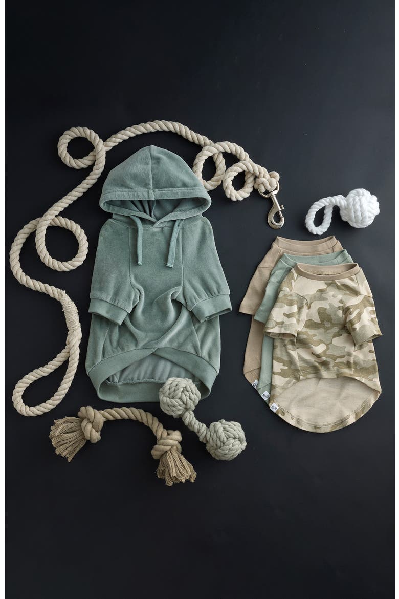 Cooper II Velour Pet Hoodie, Alternate, color, SAGE