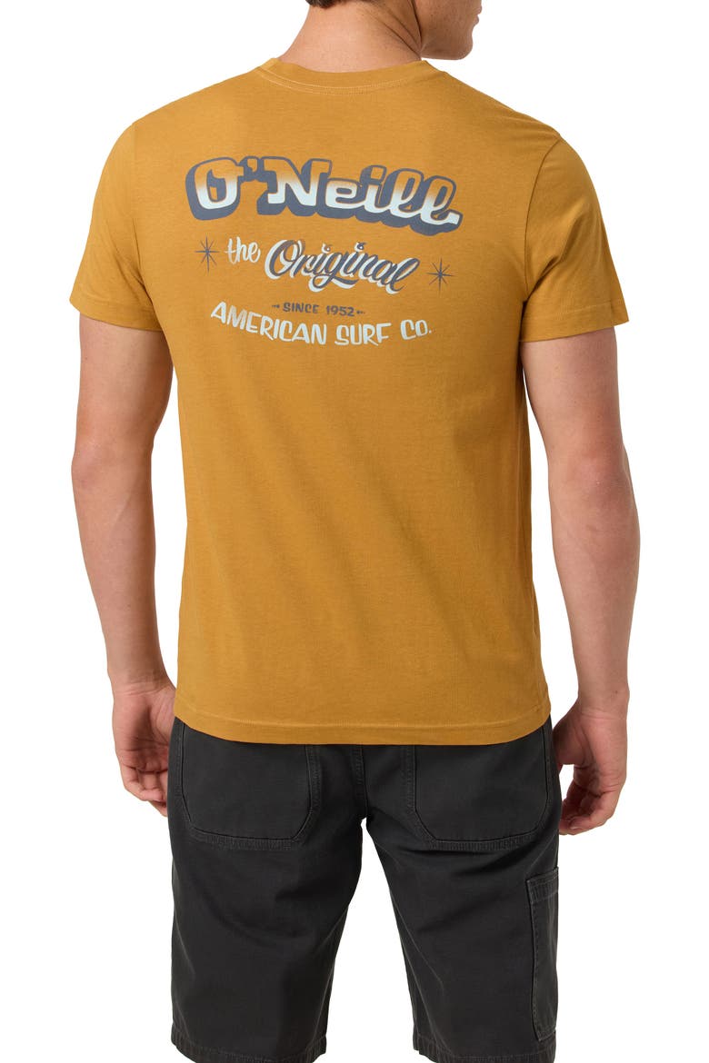 Painter Classic Cotton Graphic T-Shirt, Alternate, color, BONE BROWN