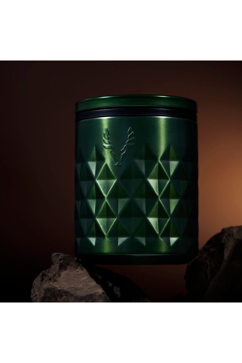 Paragon Stainless Steel Rocks Tumbler, Alternate, color, Satin Green