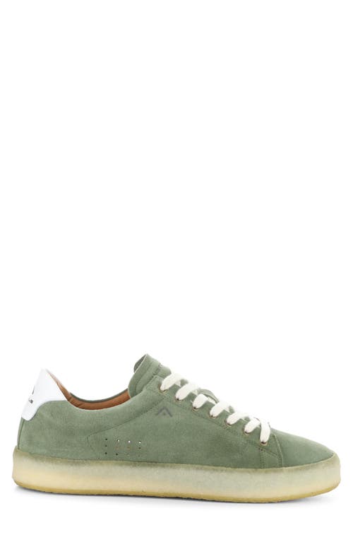 AMBITIOUS AMBITIOUS 13410 LOW TOP SNEAKER