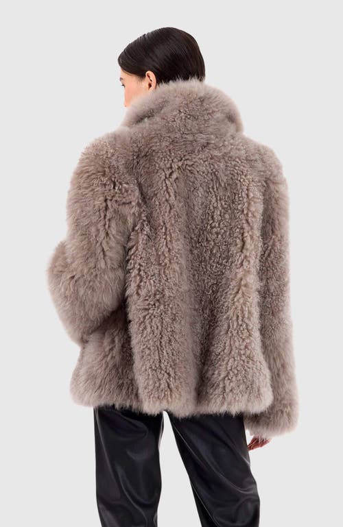Gorski Cashmere Goat Jacket In Purple