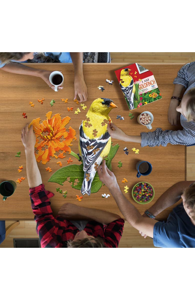 Madd Capp Goldfinch 300 Piece Jigsaw Puzzle, Alternate, color, Multicolored