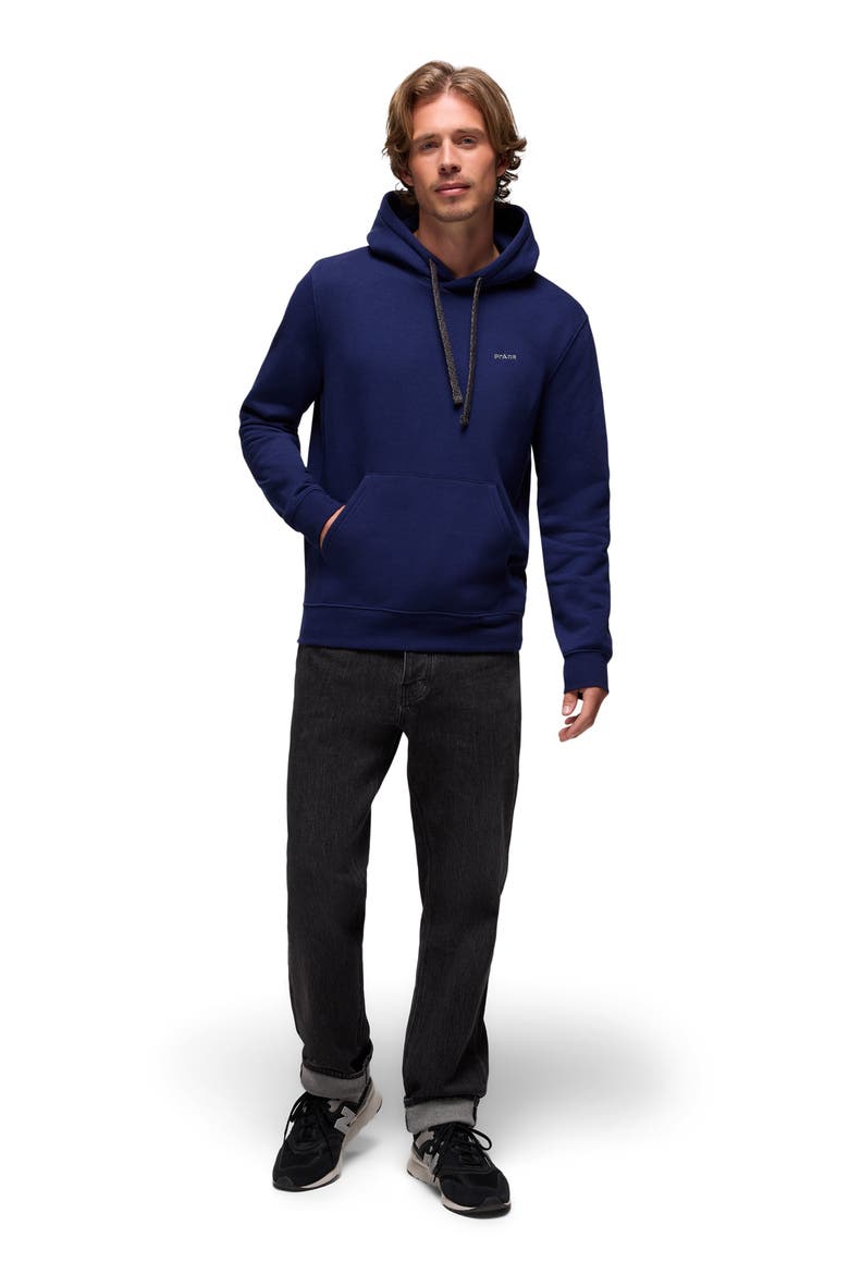 Fleece Hoodie, Alternate, color, CAPULET BLUE
