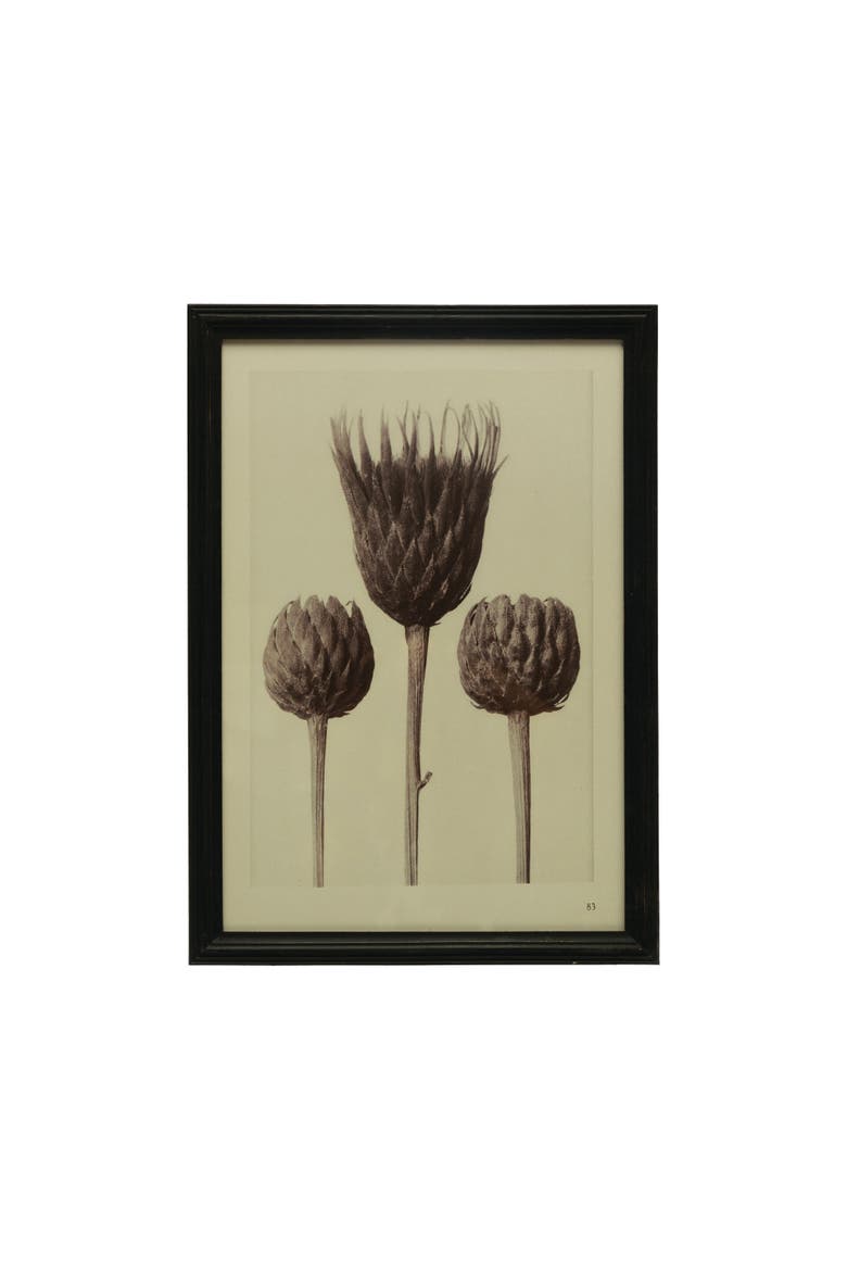 Wood Framed Artichoke Print with Glass Cover, Multicolor, Main, color, Black
