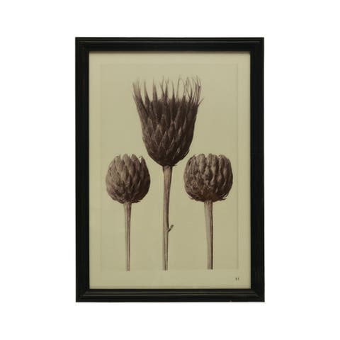 Wood Framed Artichoke Print with Glass Cover, Multicolor