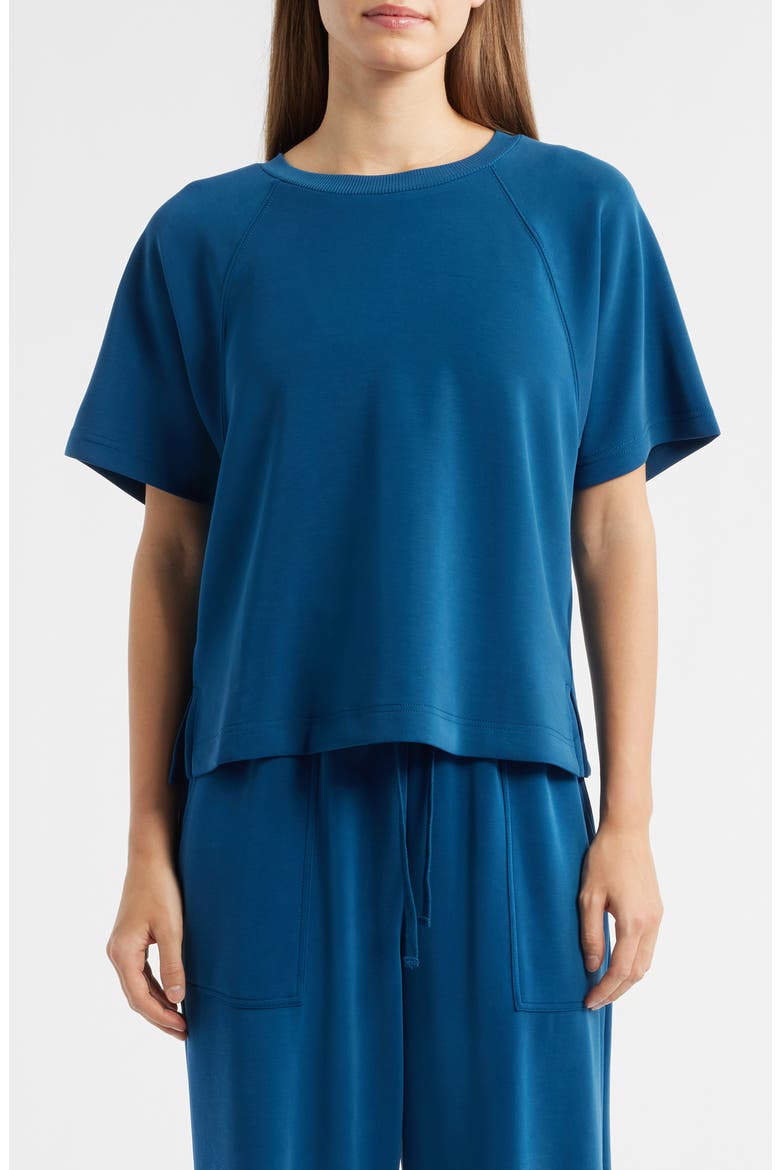 Raglan Sleeve T-Shirt, Main, color, BLUE OPAL
