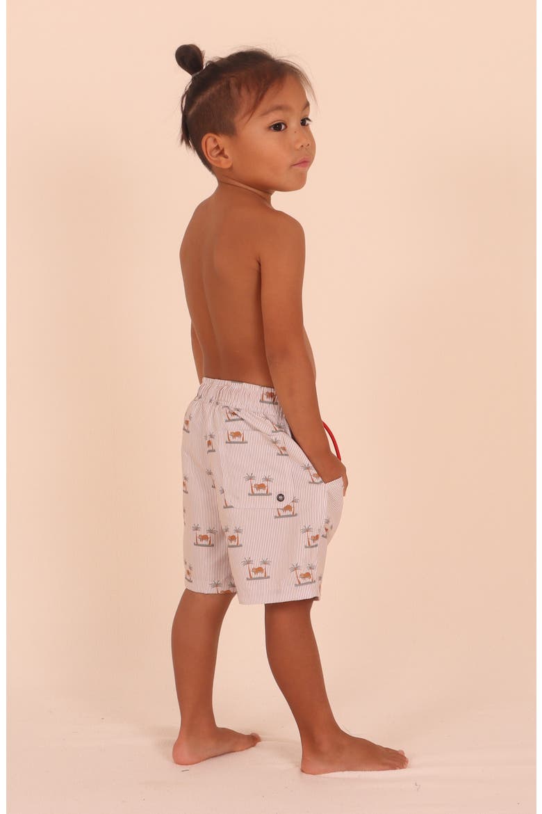 Kids' Chillin' Stripe UPF 50+ Swim Trunks, Alternate, color, BEIGE MULTI