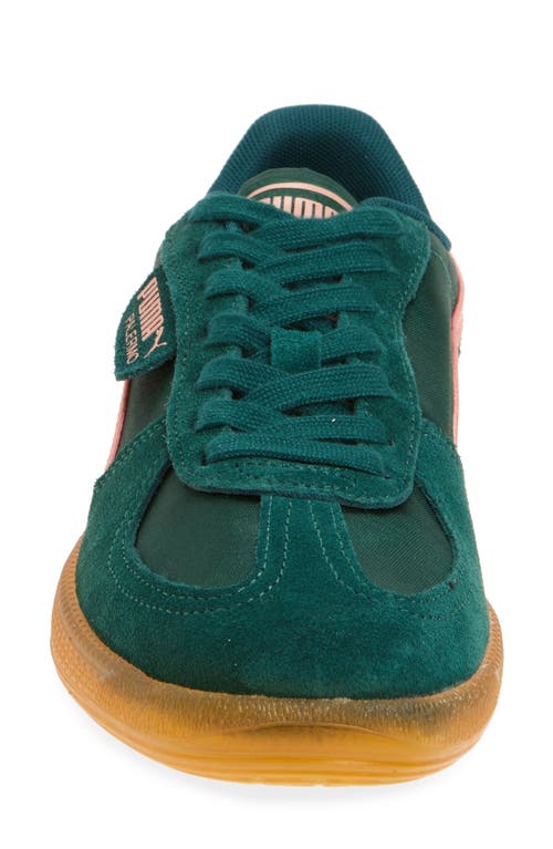 Puma Palermo Sneaker In Dark Myrtle-pink Fruit