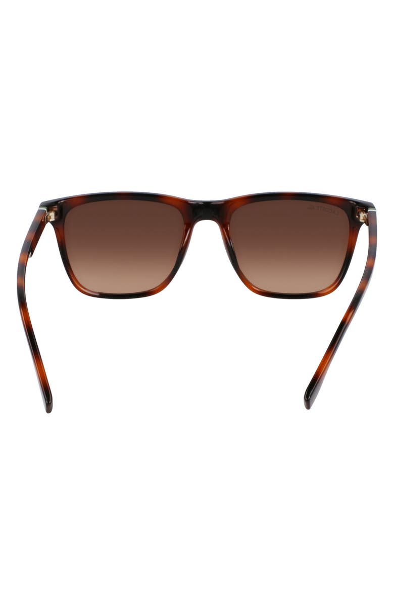 Lacoste L6041S 54mm Square Sunglasses, Alternate, color, Havana