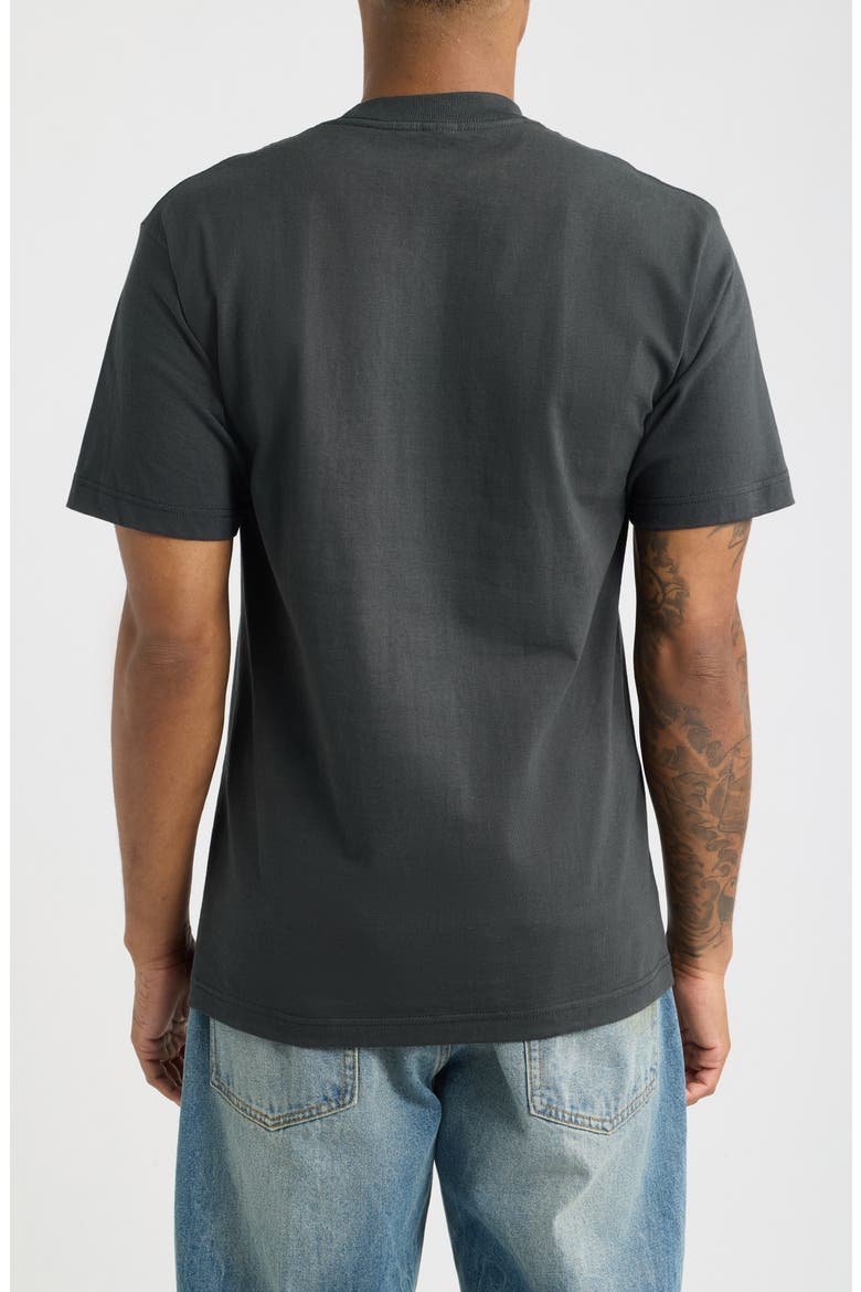 Chaos Dissent Graphic Cotton T-Shirt, Alternate, color, VINTAGE BLACK