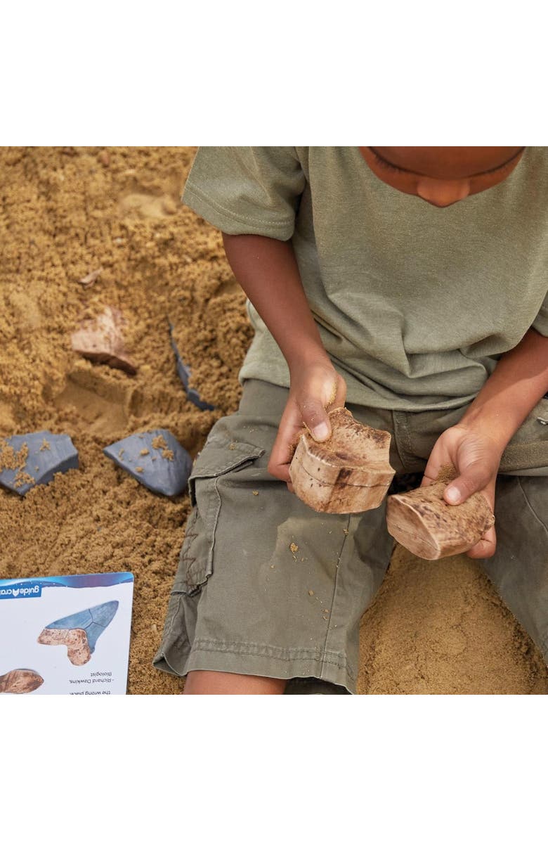 Kaplan Early Learning Company Magnetic Fossil 3D Puzzle - Megalodon Tooth - 6 Pieces, Alternate, color, Brown