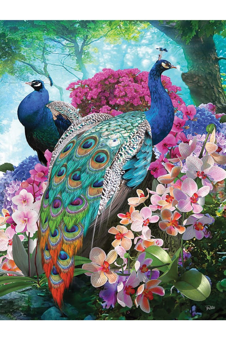 Pretty Peacock 300 piece Jigsaw Puzzle for Adults, Alternate, color, Multicolor