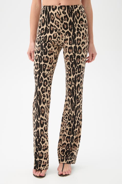Trina Turk Jacoba Leopard Flare Leg Pant In Brown