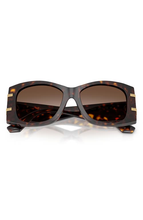 Dolce & Gabbana Dg4501 Acetate Butterfly Sunglasses In Brown
