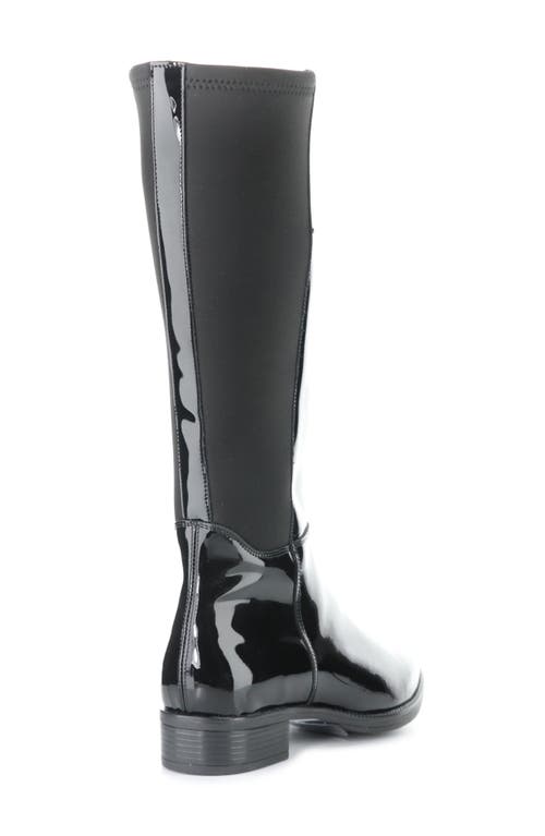 Bos. & Co. Aero Waterproof Knee High Boot In Black