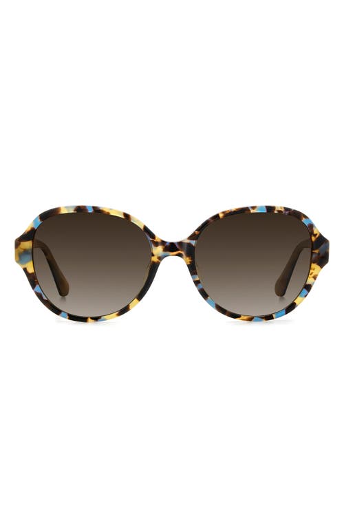 Kate Spade New York Emalie 56mm Gradient Oval Sunglasses In Havana Multicolor/brown Sf