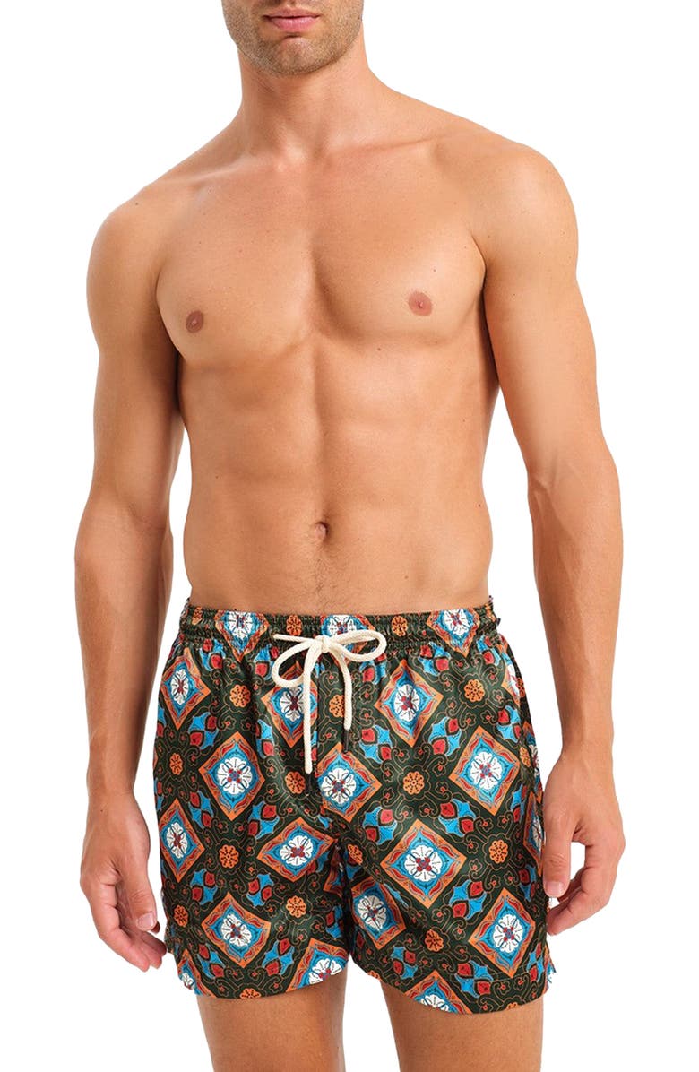 Peninsula Swimwear Positano Swim Shorts, Main, color, Multicolor