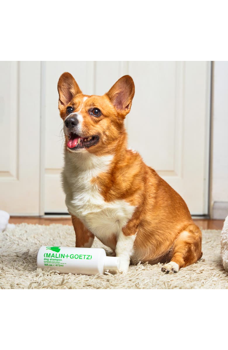 MALIN+GOETZ Dog Shampoo, Alternate, color, 