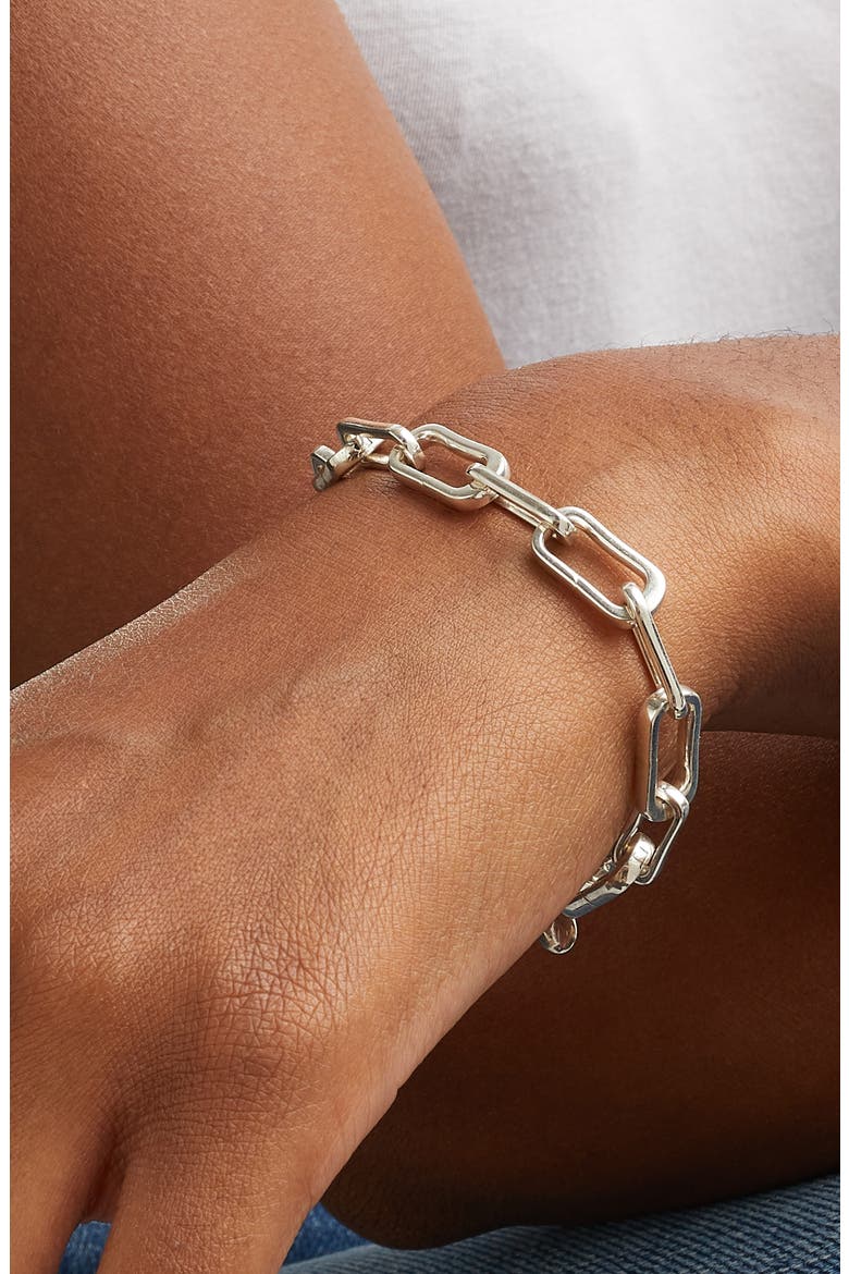 Alta Capture Charm Bracelet, Alternate, color, SILVER