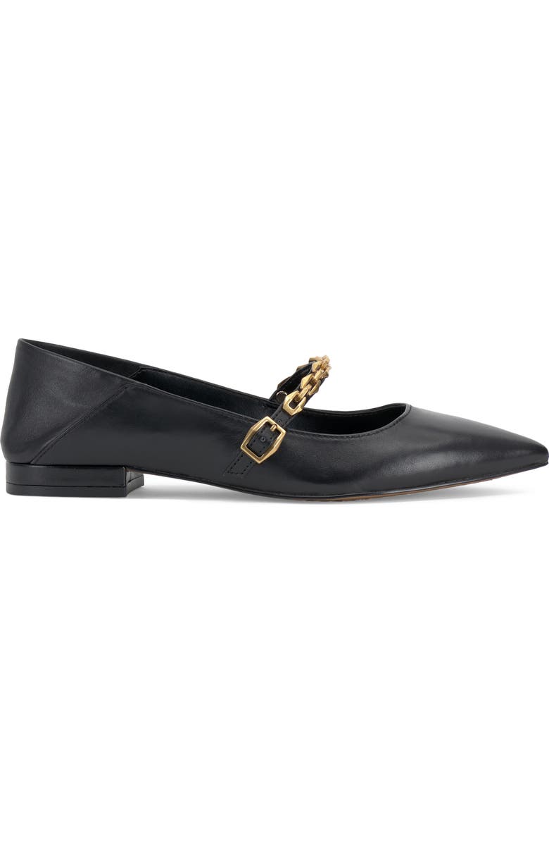 Vince Camuto Aylin Mary Jane Pointed Toe Flat, Alternate, color,