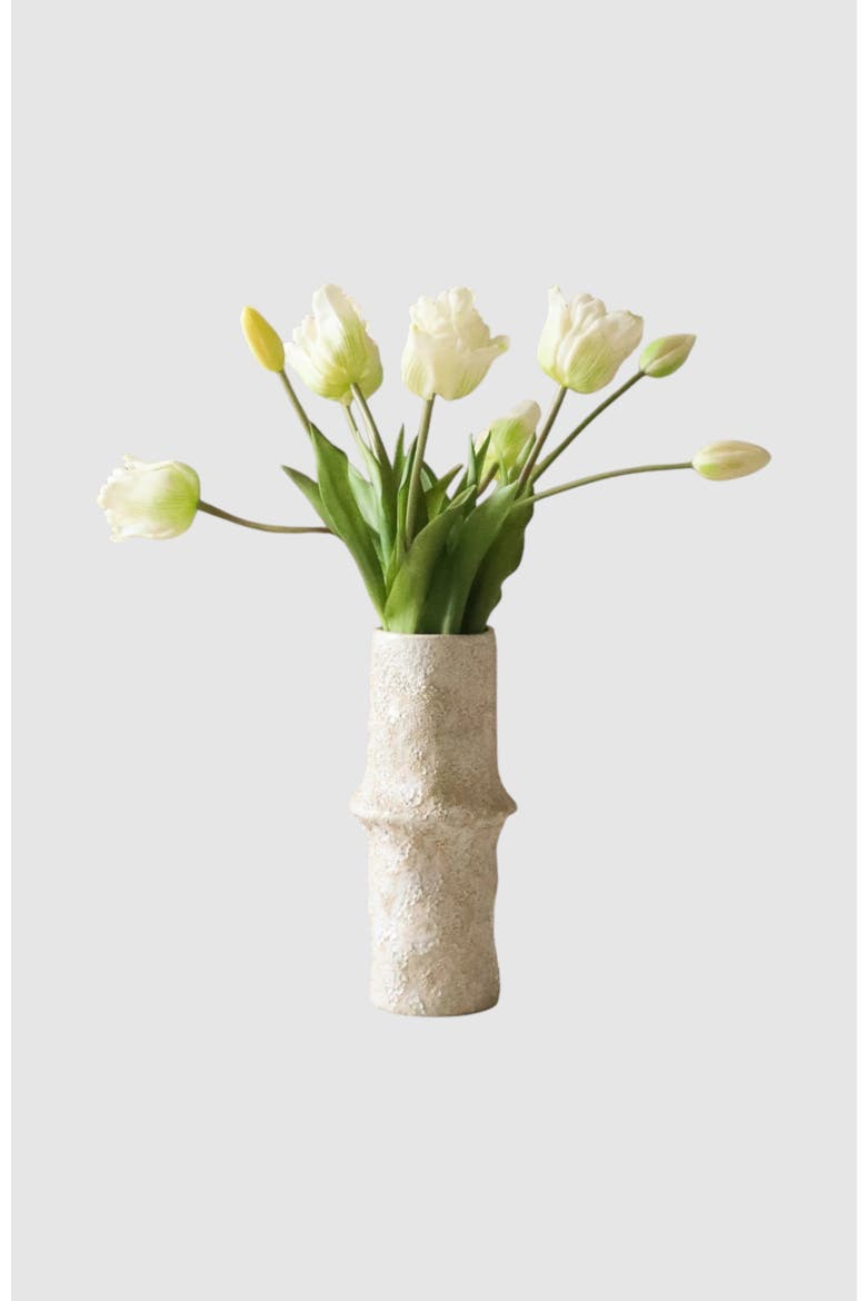 White Triumph Tulip Bouquet, Alternate, color, White