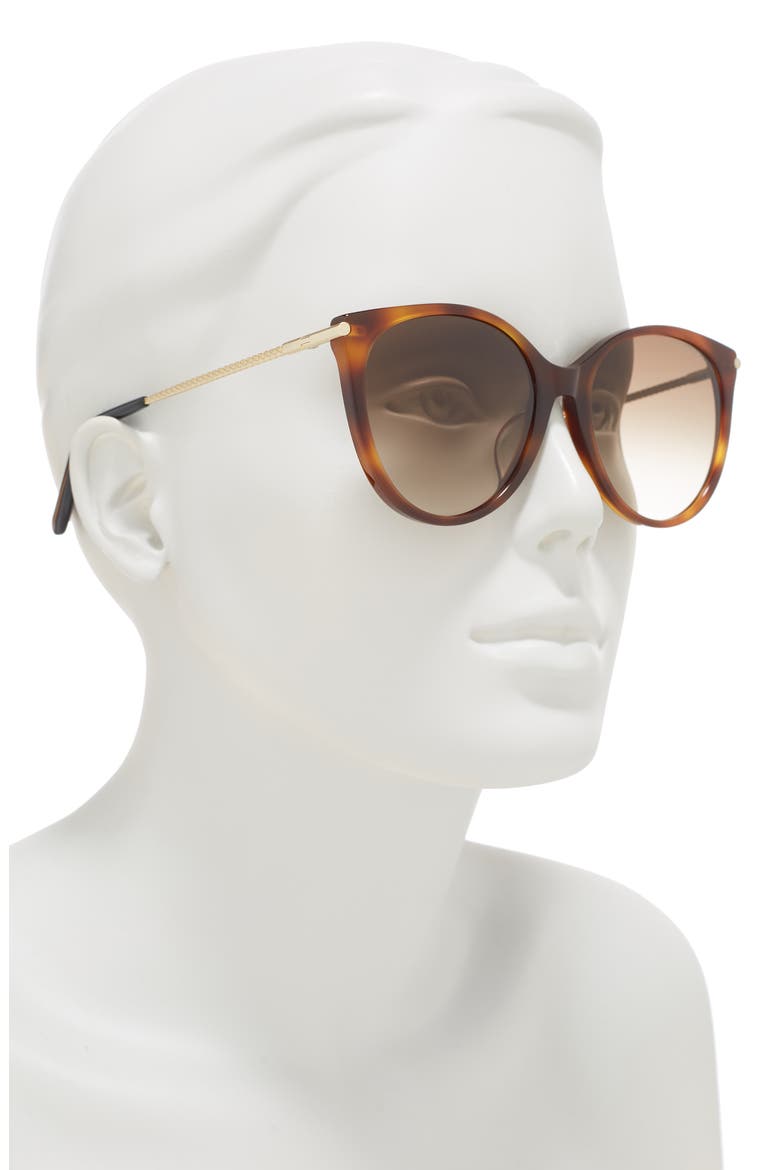 55mm Round Sunglasses, Alternate, color, HAVANA GOLD BROWN/GBN