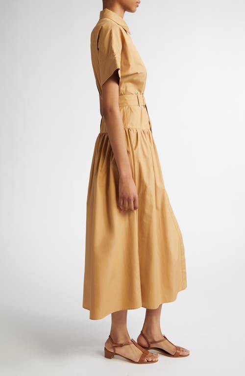 Max Mara Agoraio Belted Eyelet-embellished Cotton-poplin Midi Shirt Dress In Caramel