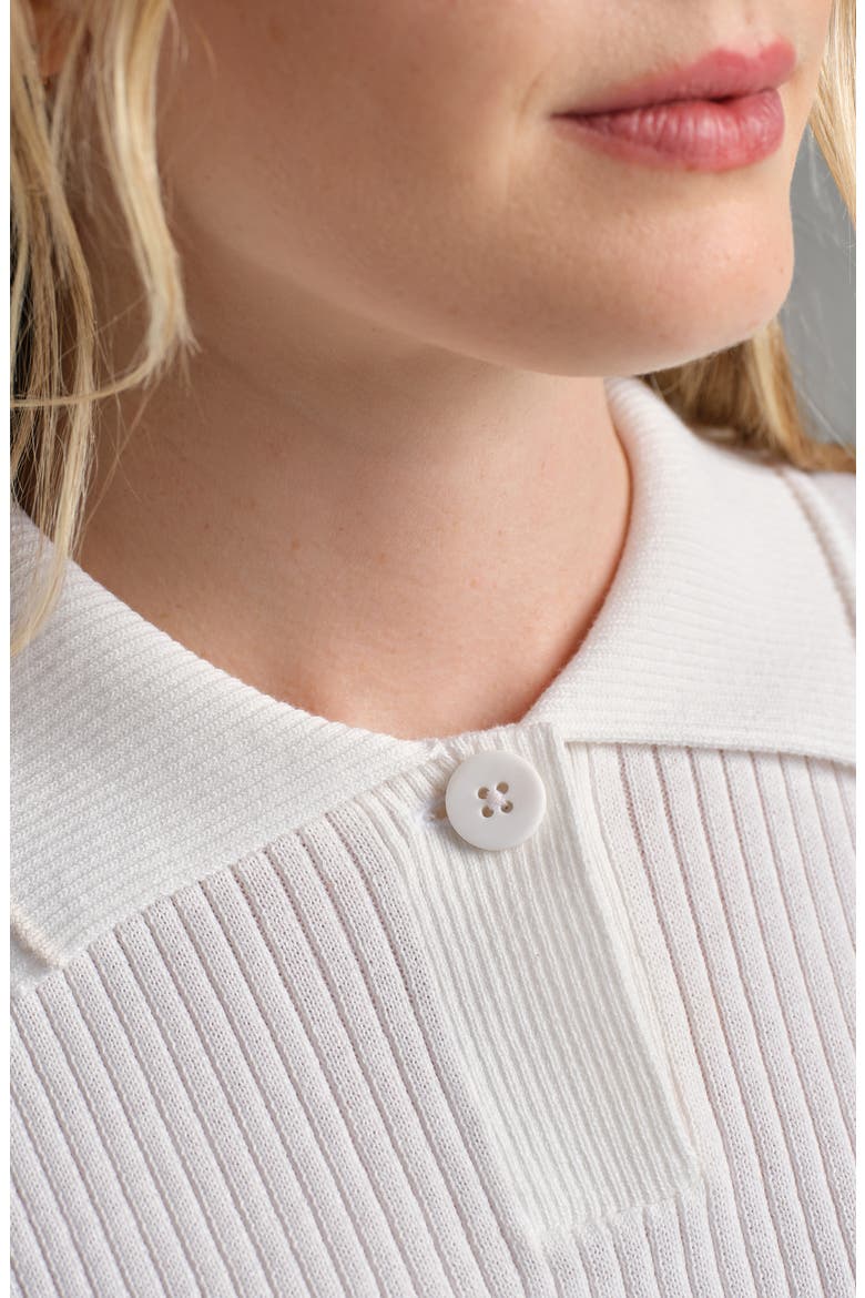 Birdie Rib Polo Sweater, Alternate, color, SNOW WHITE